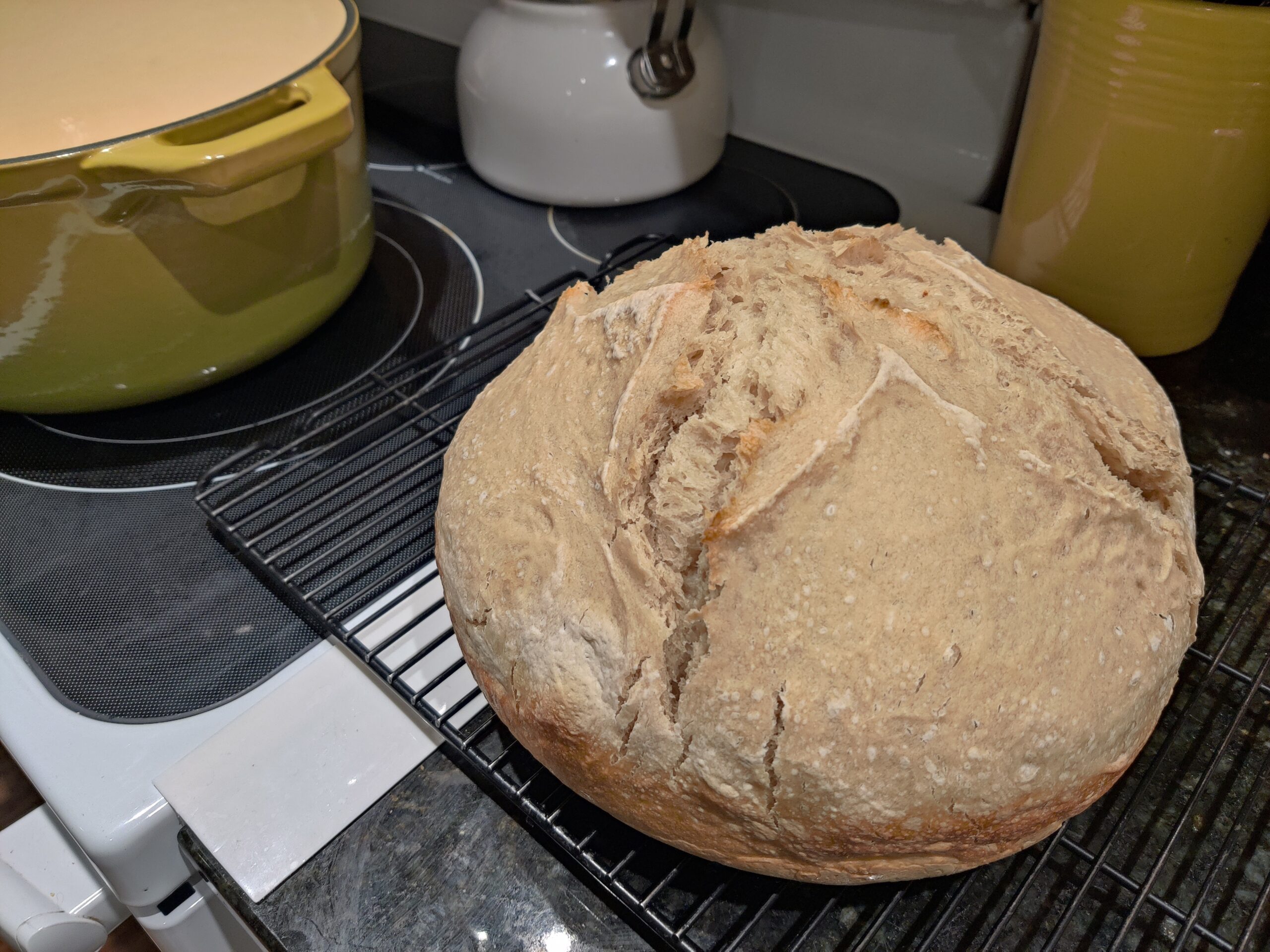 Sour Dough Bread